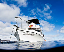 $50 Ticket! - 'Twas the Dive Before Christmas Sale! - Don't Question your life Choices - Page 3&4