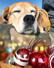 $50 Ticket! - 'Twas the Dive Before Christmas Sale! - Don't Question your life Choices - Page 3&4